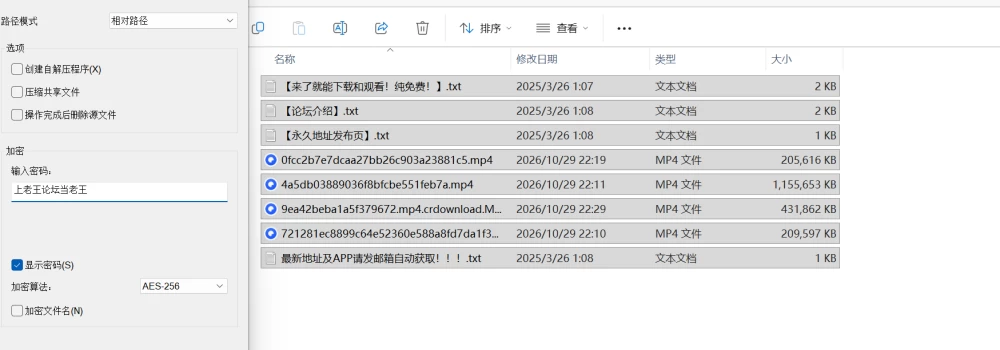 屏幕截图 2026-10-29 224738.png